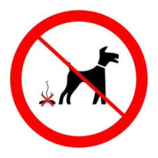 La solution anti crotte de chien a été présentée à la Rochelle.