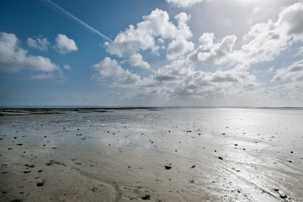 La plage de Cancale à marée basse